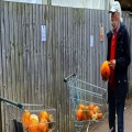 Gleaning
